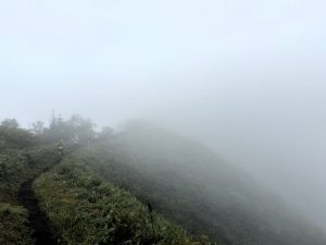 IMG_8353