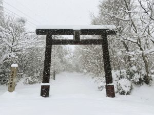 雪の降りそそぐ神社の鳥居