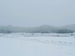 雪に覆われた山のふもとの田園